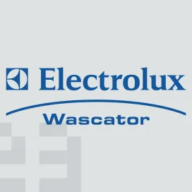 Electrolux wascator